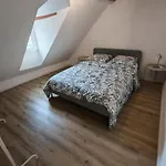 Le 16 - Tres Bel 3 Renove Pour 8 Personnes Кольмар
