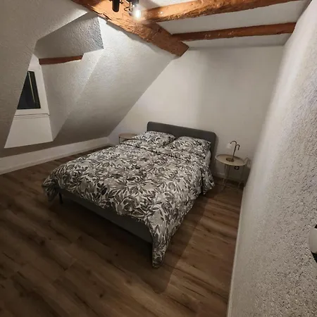 # Le 16 # Tres Bel 3 Renove * كولمار